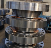 Hastelloy Flanges