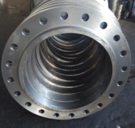 Monel Flanges