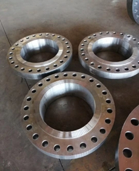 Ring Type Joint Flange