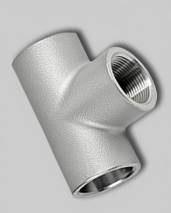 Hastelloy Crosses Fittings