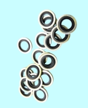 Dowty Seal & Oil Seal