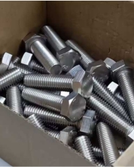 Stainless Steel Nuts