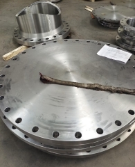 Stainless Steel Blind Flange