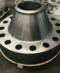 Stainless Steel Forged Flange