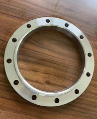 Stainless Steel Large Diameter Flange