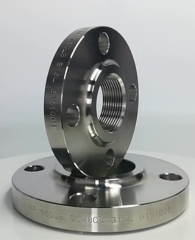 Stainless Steel Threaded Flange