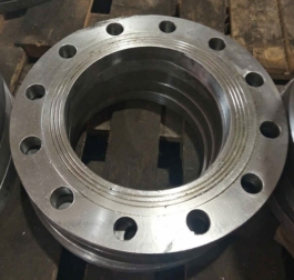 Hastelloy B2 Flange