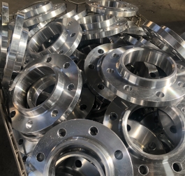 Hastelloy C22 Flange